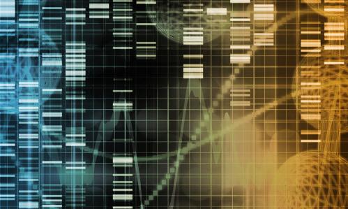 Pioneer Studies Identify Gene-Environment Interactions Linked to the Development of Mental Illness